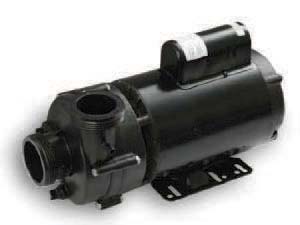 Main hot tub pump Waterway Executive Canada