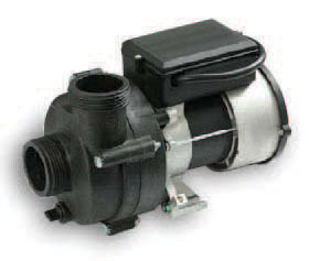 Main hot tub pump Waterway Executive Canada